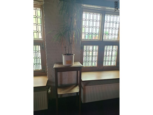 Lot 23 - plantentafel met kamerplant in pot - afbeelding 1 van  2