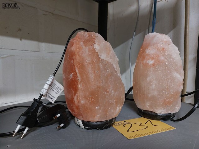 Lot 231 - zoutlampen 2 stuks - afbeelding 1 van  1