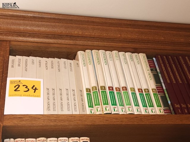 Lot 234 - diverse boeken. 34 stuks - afbeelding 1 van  3