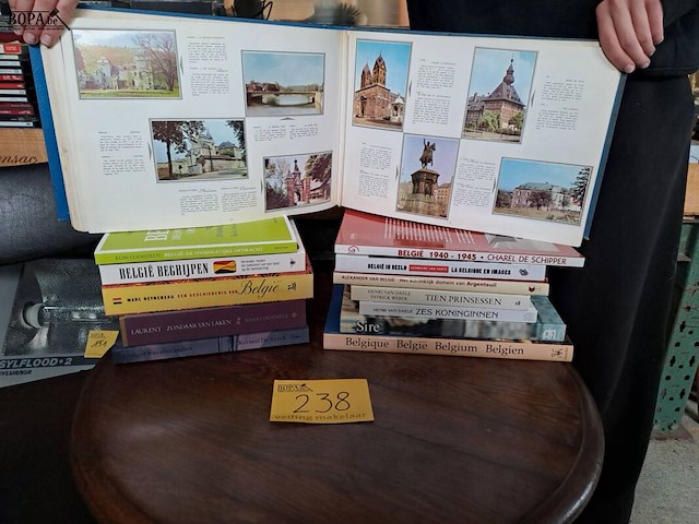 Lot 238 - lot boeken geschiedenis in belgië / belgië in beeld - afbeelding 1 van  3