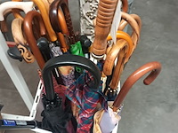 Lot 238 - paraplu’s en wandelstokken. 26 stuks - afbeelding 3 van  4