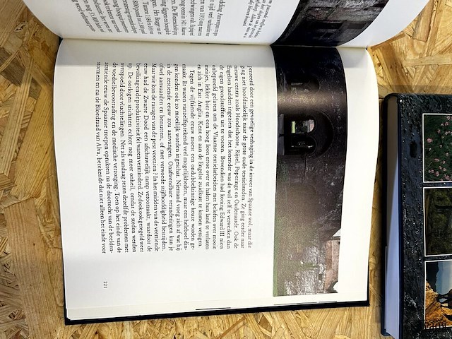 Lot 240 - in eindeloze verscheidenheid - afbeelding 2 van  4