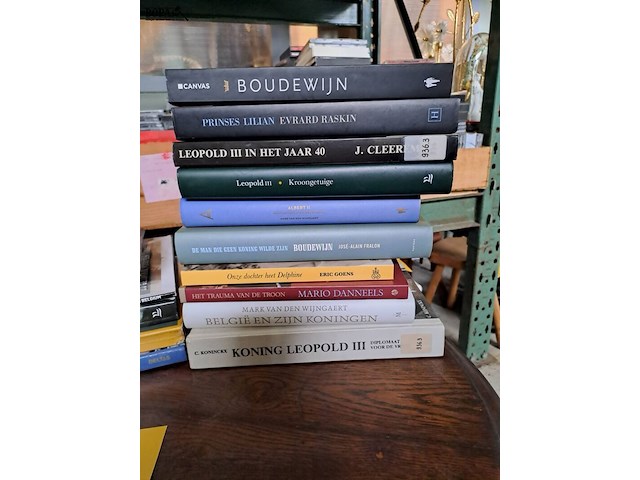 Lot 240 - lot boeken koningen van belgië - afbeelding 3 van  3