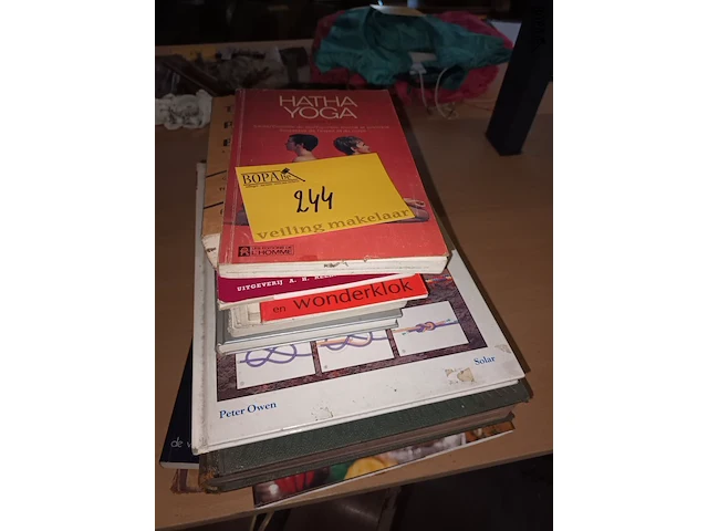 Lot 244 - boeken. 13 stuks - afbeelding 5 van  6