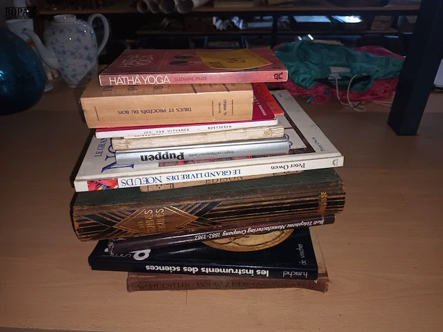 Lot 244 - boeken. 13 stuks - afbeelding 6 van  6