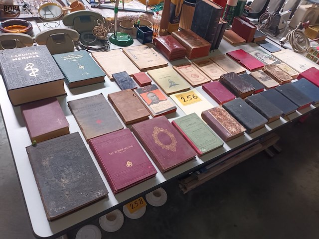 Lot 256 - antieke boeken. 43 stuks - afbeelding 1 van  6