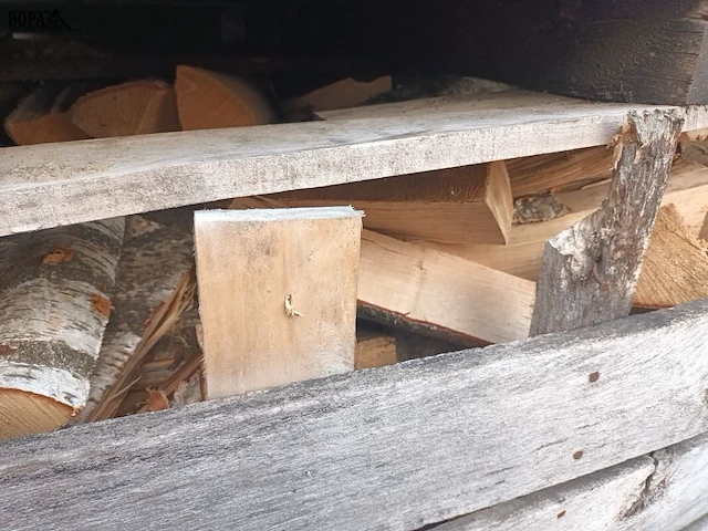 Lot 256 - houten kist met brandhout. 3 stuks - afbeelding 2 van  4