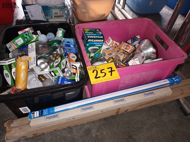 Lot 257 - lampen. 2 bakken - afbeelding 1 van  4