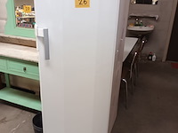 Lot 26 - diepvriezer aeg