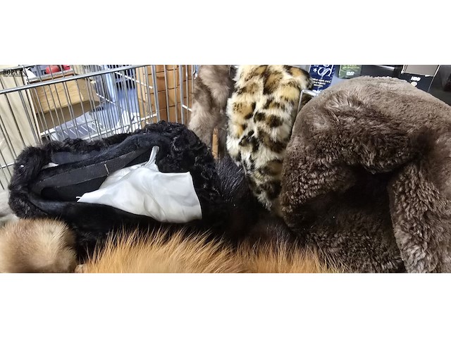 Lot 266 - groot lot bont mutsen, sjaals... - afbeelding 4 van  4