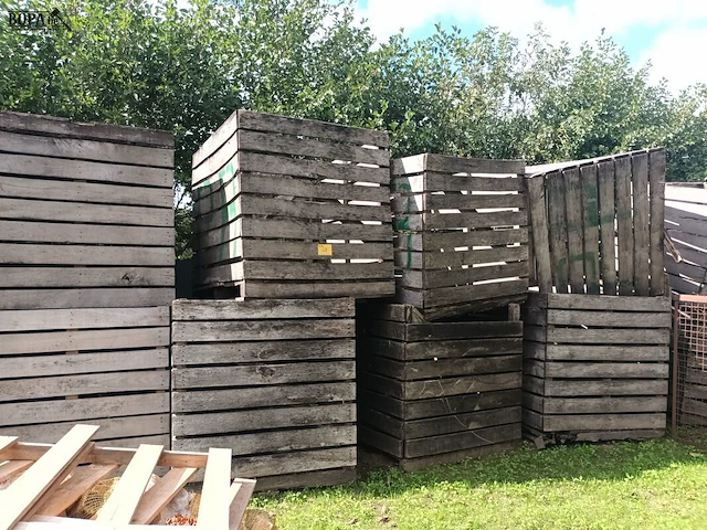 Lot 268 - lege houten kisten. 11 stuks - afbeelding 1 van  2