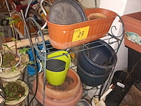 Lot 27 - plantenrekje met inhoud - afbeelding 2 van  3