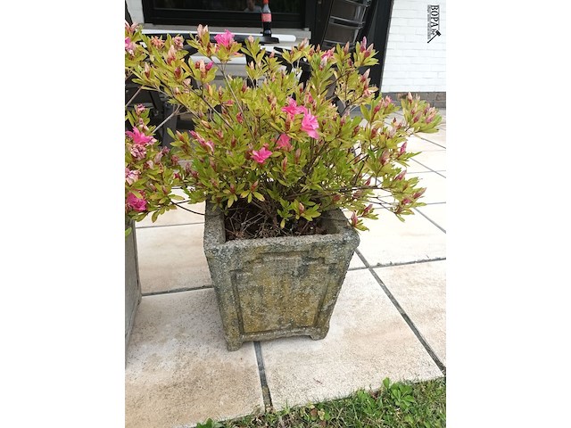 Lot 274 - bloempotten met plant. 2 stuks - afbeelding 3 van  3