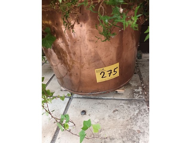 Lot 275 - koperen ketel met planten - afbeelding 4 van  4