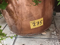 Lot 275 - koperen ketel met planten - afbeelding 4 van  4