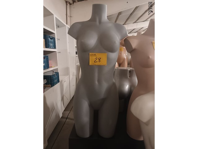 Lot 28 - grijze torso vrouw - afbeelding 1 van  3