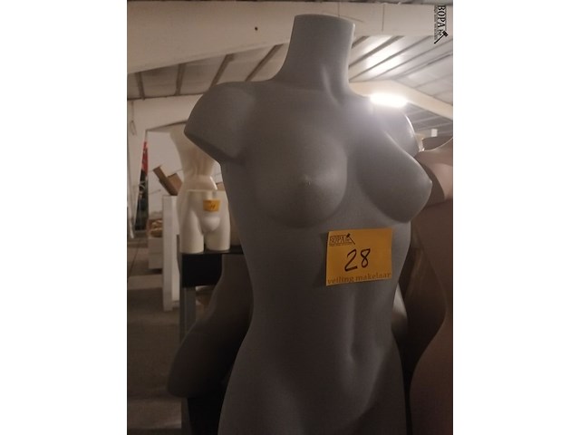 Lot 28 - grijze torso vrouw - afbeelding 2 van  3