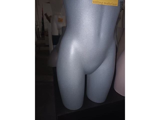 Lot 28 - grijze torso vrouw - afbeelding 3 van  3