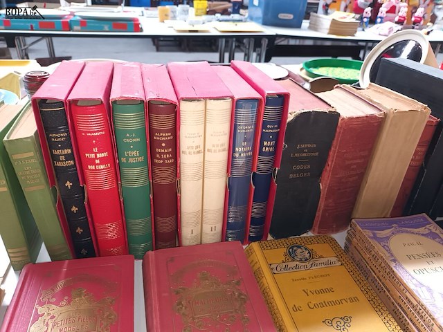 Lot 280 - antieke boeken. 50 stuks - afbeelding 3 van  6