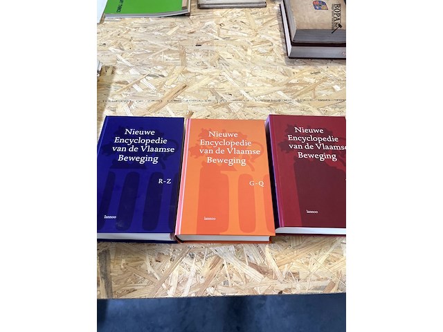 Lot 282 - boek nieuwe encyclopedie van de vlaamse beweging met cd 3 d - afbeelding 3 van  9