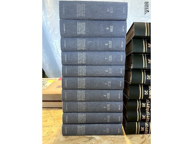 Lot 283 - boekenreeks dictionnaire de peintres sculpteurs dessinateurs - afbeelding 1 van  5