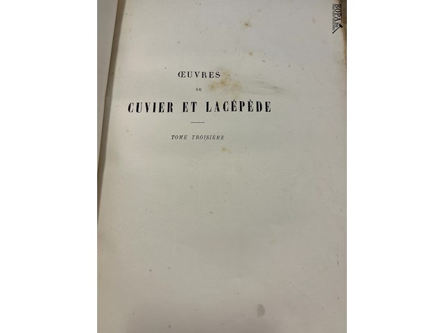 Lot 284 - boekenreeks de buffon 16 delig - afbeelding 3 van  5