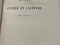 Lot 284 - boekenreeks de buffon 16 delig - afbeelding 3 van  5