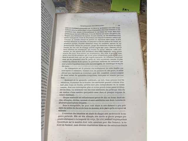 Lot 284 - boekenreeks de buffon 16 delig - afbeelding 4 van  5