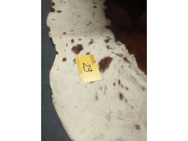 Lot 29 - groot koeienvel - afbeelding 1 van  3