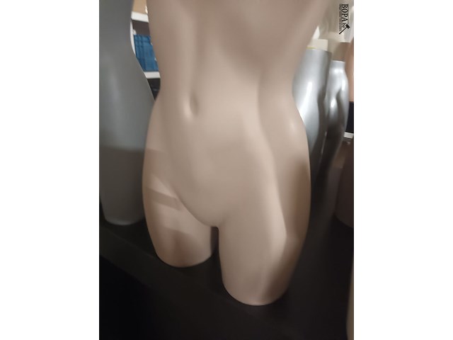 Lot 29 - huidskleur torso vrouw - afbeelding 2 van  2
