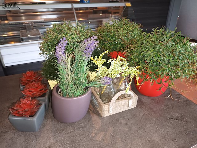 Lot 29 - kunstplantjes. 10 stuks - afbeelding 1 van  4
