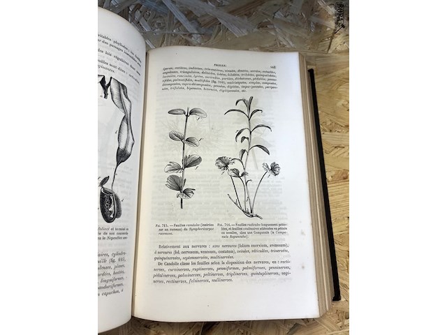 Lot 292 - dictionnaire de botanique - afbeelding 3 van  4