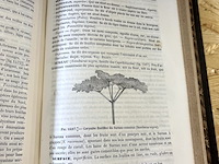 Lot 292 - dictionnaire de botanique - afbeelding 4 van  4
