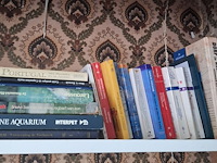 Lot 296 - lot diverse boeken - afbeelding 3 van  3