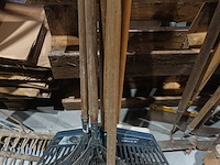 Lot 3 - bladharken. 6 stuks