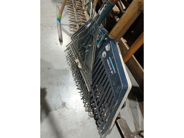 Lot 3 - bladharken. 6 stuks - afbeelding 3 van  4