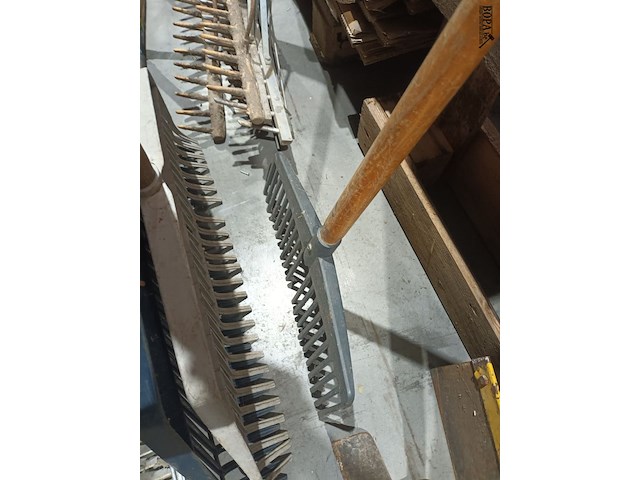 Lot 3 - bladharken. 6 stuks - afbeelding 4 van  4