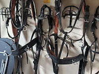 Lot 3 - paardentuigsetten - afbeelding 1 van  1