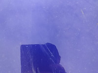 Lot 3 - peugeot 308 (2018-chass.vf3lrhnppjs317710) - afbeelding 17 van  25