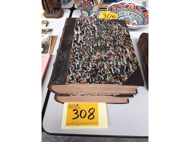 Lot 308 - dictionnaire encyclopédique - afbeelding 1 van  3