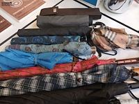 Lot 308 - paraplu’s. 13 stuks - afbeelding 3 van  4