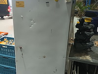 Lot 31 - diepvrieskast iarp - afbeelding 1 van  5