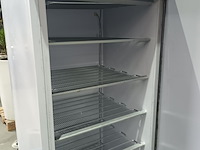 Lot 31 - diepvrieskast iarp - afbeelding 2 van  5