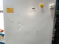 Lot 31 - diepvrieskast iarp - afbeelding 5 van  5