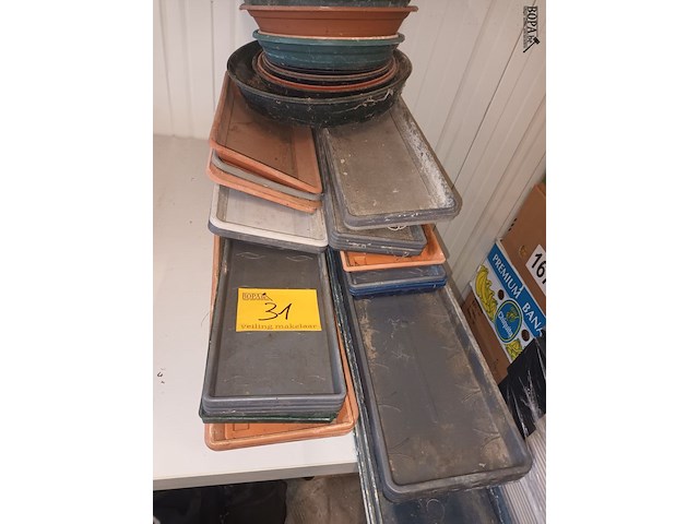 Lot 31 - onder schalen. 50 stuks - afbeelding 1 van  3