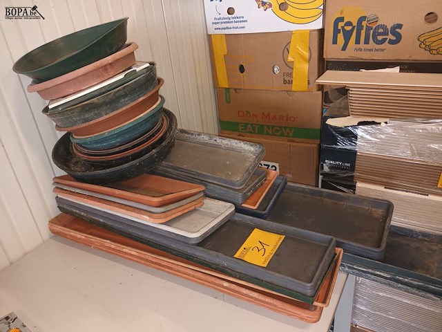 Lot 31 - onder schalen. 50 stuks - afbeelding 2 van  3