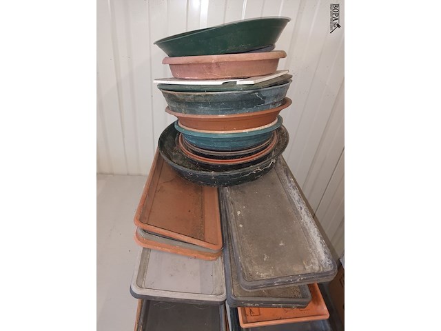 Lot 31 - onder schalen. 50 stuks - afbeelding 3 van  3