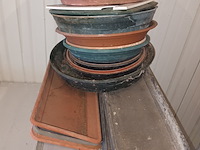 Lot 31 - onder schalen. 50 stuks - afbeelding 3 van  3