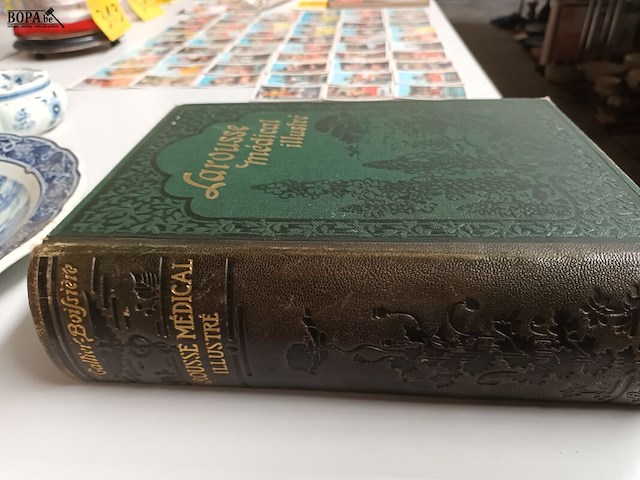 Lot 315 - boek larousse médical illustré - afbeelding 2 van  4