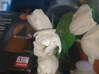Lot 32 - decoratie - afbeelding 3 van  4